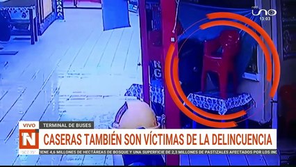 Robos terminal de buses