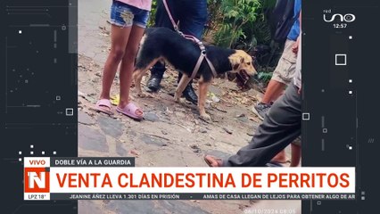 Venta ilegal de perritos en la doble vía a La Guardia