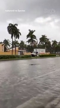 Hurricane Milton 'Rapidly Intensifies' into Category 5 Storm as It Approaches Florida's Gulf Coast
