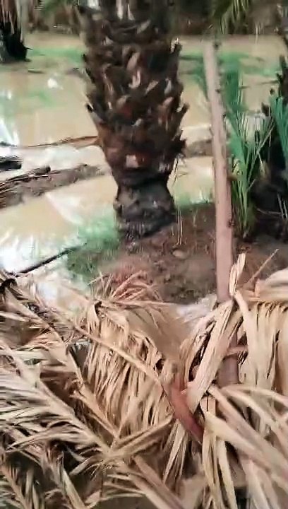 المغرب مكناس فاس طنجة Rabat Maroc morrocالجرف