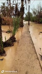 المغرب مكناس فاس طنجة Rabat Maroc morroc jorf