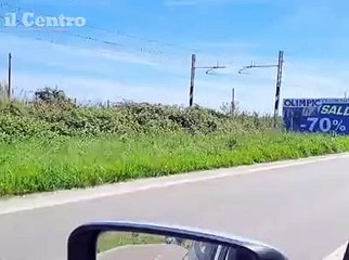 Sul ciglio della Statale ad aspettare il bus: ecco la fermata fantasma e pericolosa tra Pineto e Roseto