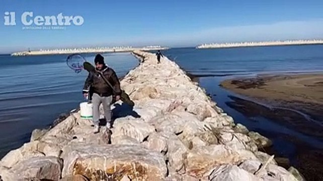 Trabocchi a secco e nuova passeggiata artificiale: cos? la bassa marea ridisegna la spiaggia a ridosso del porto canale