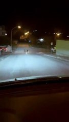 Lupi sfrecciano nella notte a Castel Frentano