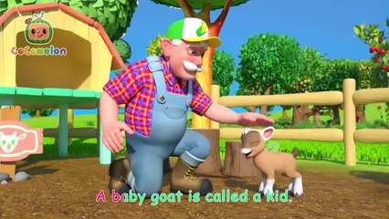Baby JJ Meets Cute Baby Animals! ｜ CoComelon Nursery Rhymes & Kids Songs ｜ CoComelon Toy Play