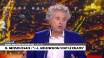 Gilles-William Goldnadel : «Il y a dans la France Insoumise une dimension que vous ne voulez pas voir qui est anti-occidentale, anti-française et anti-blanche.»