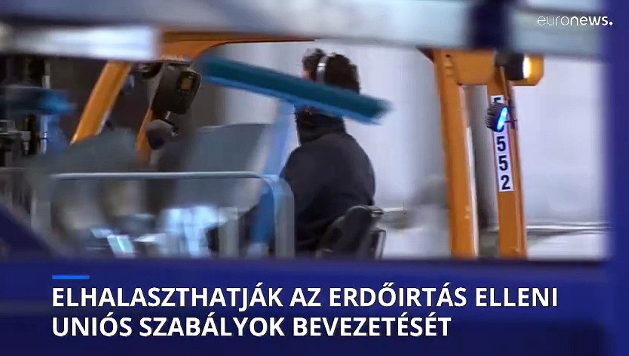 Megosztó az a bizottsági javaslat, amely elhalasztaná az erdők védelmét célzó szabályozást