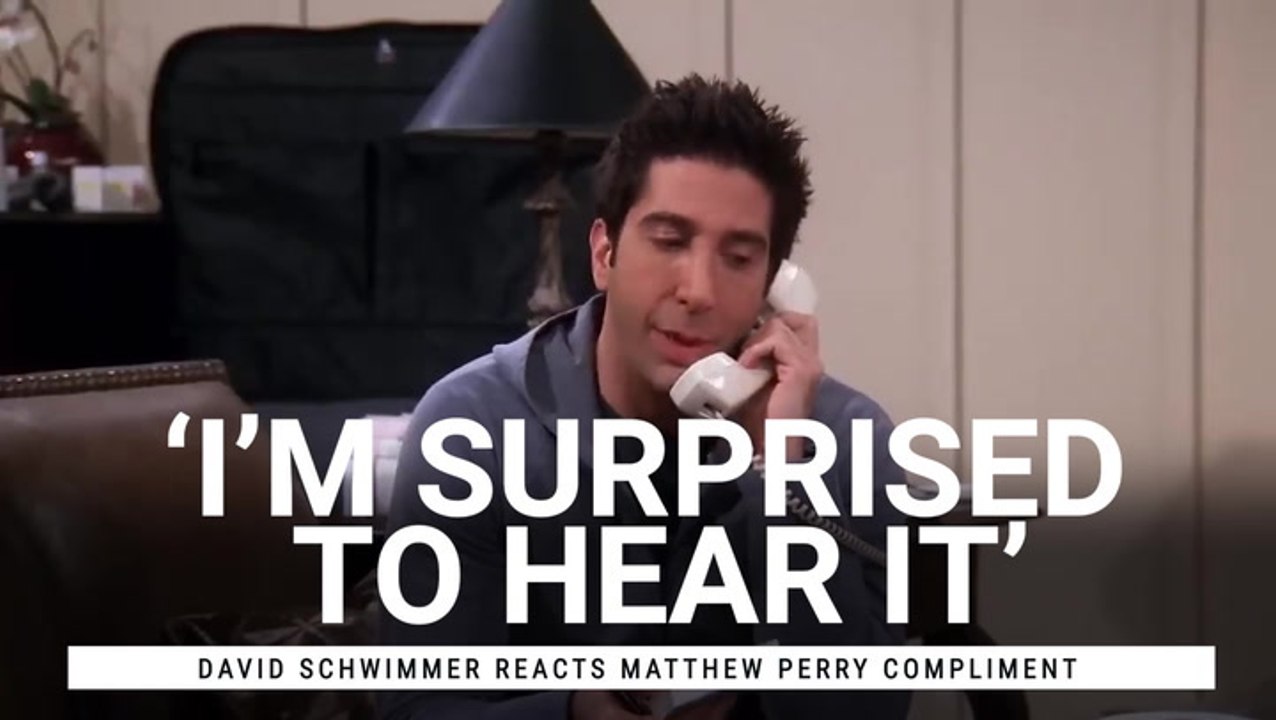 'I'm Surprised To Hear It': 'Friends' David Schwimmer Reacts After Only Just Learning What Matthew Perry Thought Of His Acting