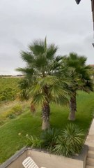 LA PLUS BELLE vue de Plaissan