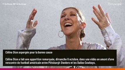 Séquence surréaliste : pourquoi Céline Dion se fait totalement asperger de liquide ?