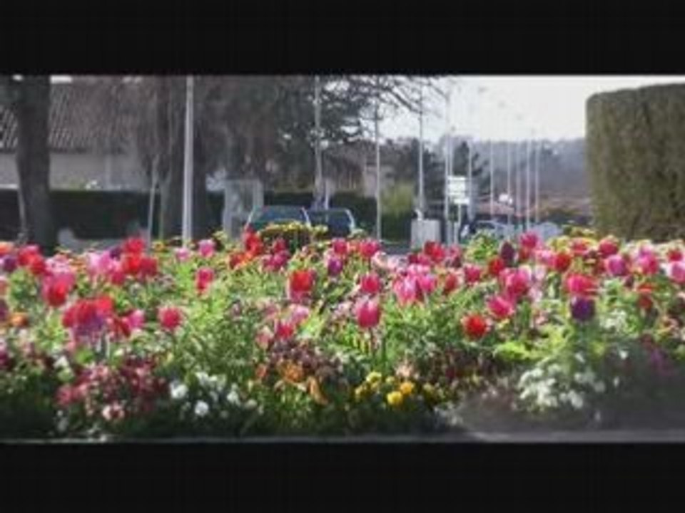 Activités de Biscarrosse