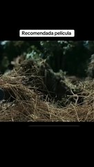 Movies clips watching