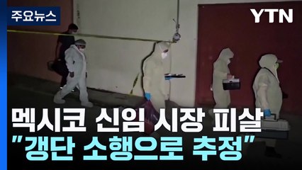 멕시코 자치단체장 취임 엿새 만에 피살..."갱단이 참수" / YTN