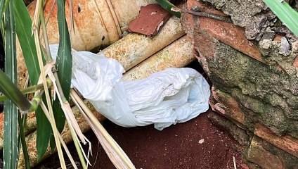 Polícia Civil prende casal por tráfico de drogas no Bairro Brasília