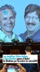 Los científicos Victor Ambros y Gary Ruvkun ganan el Nobel de Medicina por descubrir los microARN