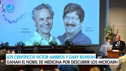Los científicos Victor Ambros y Gary Ruvkun ganan el Nobel de Medicina por descubrir los microARN