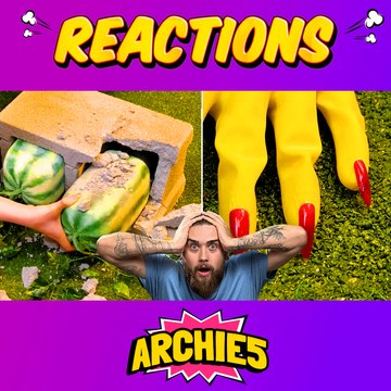 From Seed To Harvest: Essential Gardening Tips And Tricks! The Dudes REACT to 5-Minute Crafts Gardening Hacks