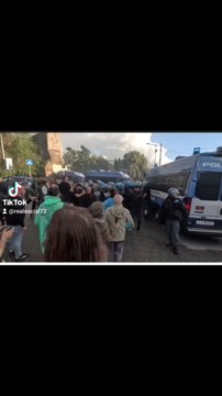 i danni della manifestazione propalestina a roma