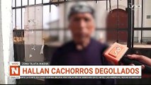 Perros degollados