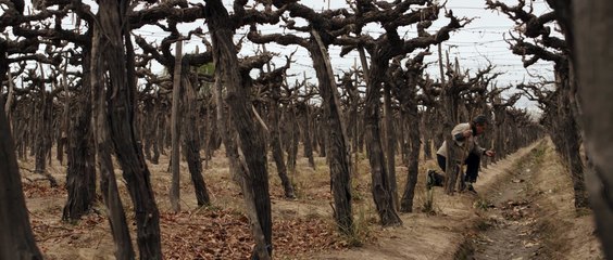 Wastelands | movie | 2024 | Official Trailer