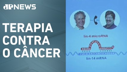 Nobel de Medicina de 2024 vai para Victor Ambros e Gary Ruvkun