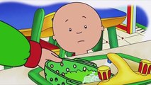 Caillou en français Caillou économise leau (Planète Écolo)