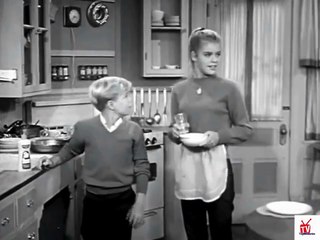 1960s Vivian Vance - Swan dish soap TV commercial (The Lucy Show cast commercial)