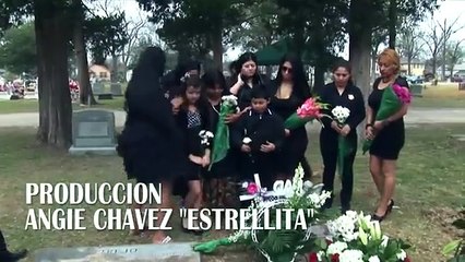 EL ROBO DEL PURA SANGRE Película de acción completa en español latino HD