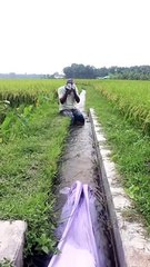 Funny vedeos puglo