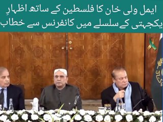 Palestine solidarity conference in Islamabad