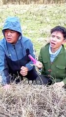 Funny vedeos bewakof dost