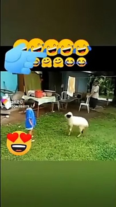 VID-20230810-WA0004