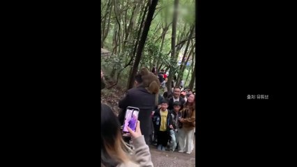 [나우쇼츠] 머리 위에 앉은 원숭이...'훌러덩' 가발 벗겨 / YTN