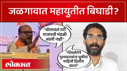 मंत्री गुलाबराव पाटलांचा आरोप, भाजपचं उत्तर काय?
