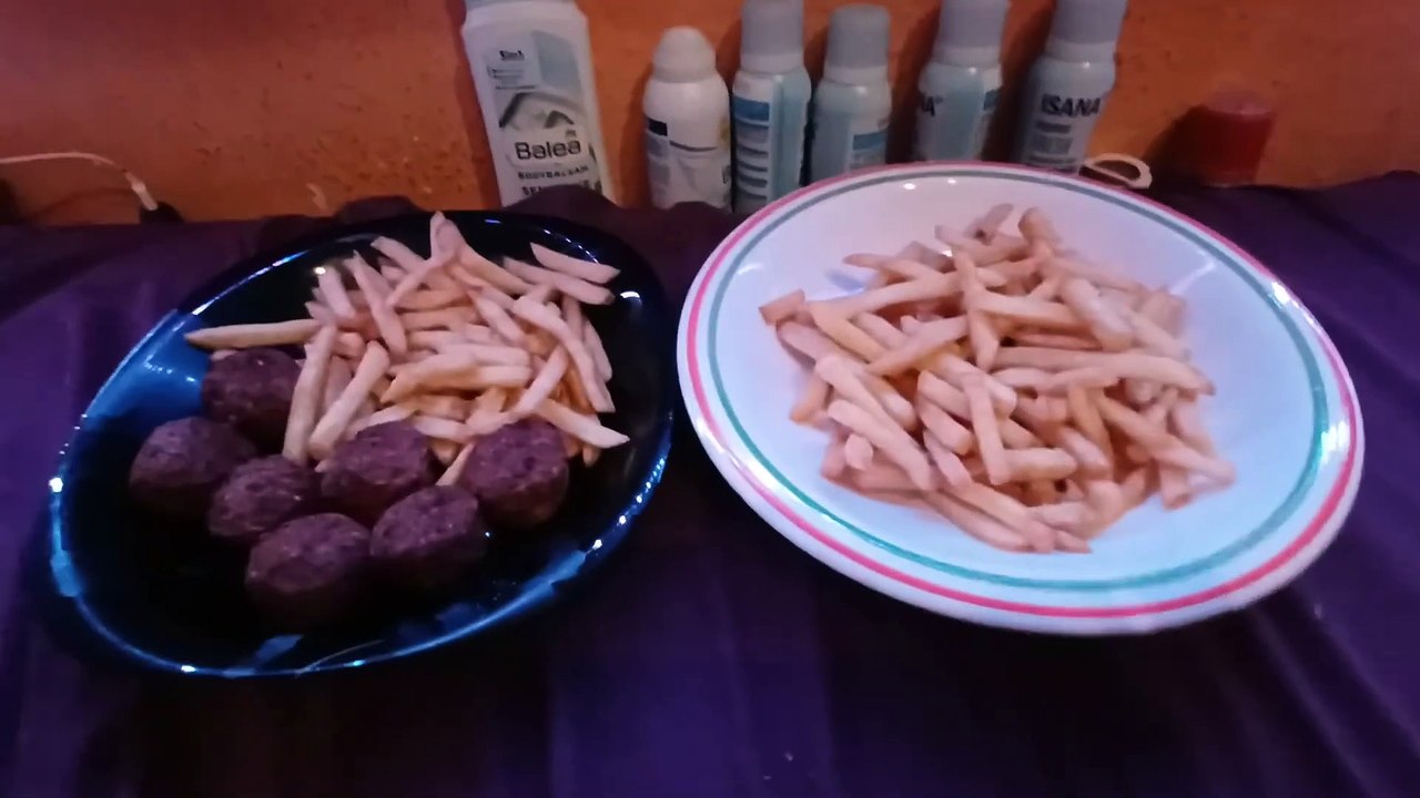 Leon Elektronik  -  Das Abendessen und Talkrunde 2.