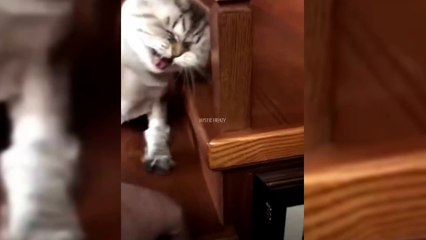 بالطبع، يجب مشاركة مقاطع الفيديو المثيرة للاهتمام مع الأشخاص المثيرين للاهتمام