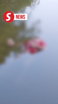 Dead body found floating in Kota Kemuning lake
