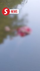 Dead body found floating in Kota Kemuning lake