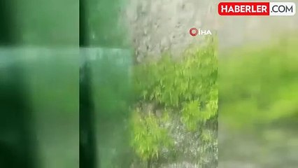 Artvin'de Dolu Yağışı Sonrası Beyaz Örtü