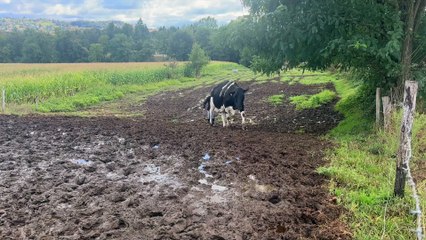 Cuzieu, eps 2 : terre d'agriculteurs