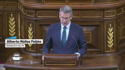 Feijóo: "Muchos españoles se sienten decepcionados con mi grupo parlamentario"