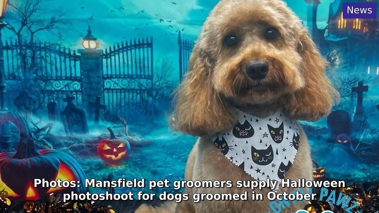 Mansfield and Ashfield Chad Morning Update 9 October, 2024