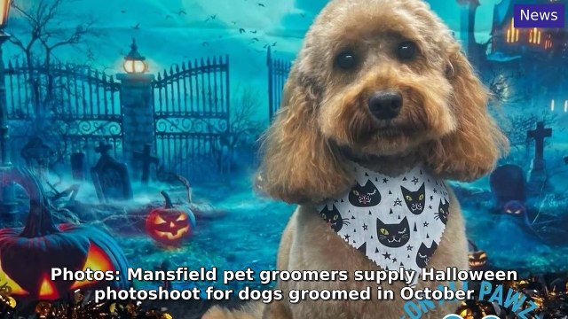 Mansfield and Ashfield Chad Morning Update 9 October, 2024