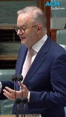 'Have you got Tourettes or something':  Anthony Albanese under fire over disability remark in parliament