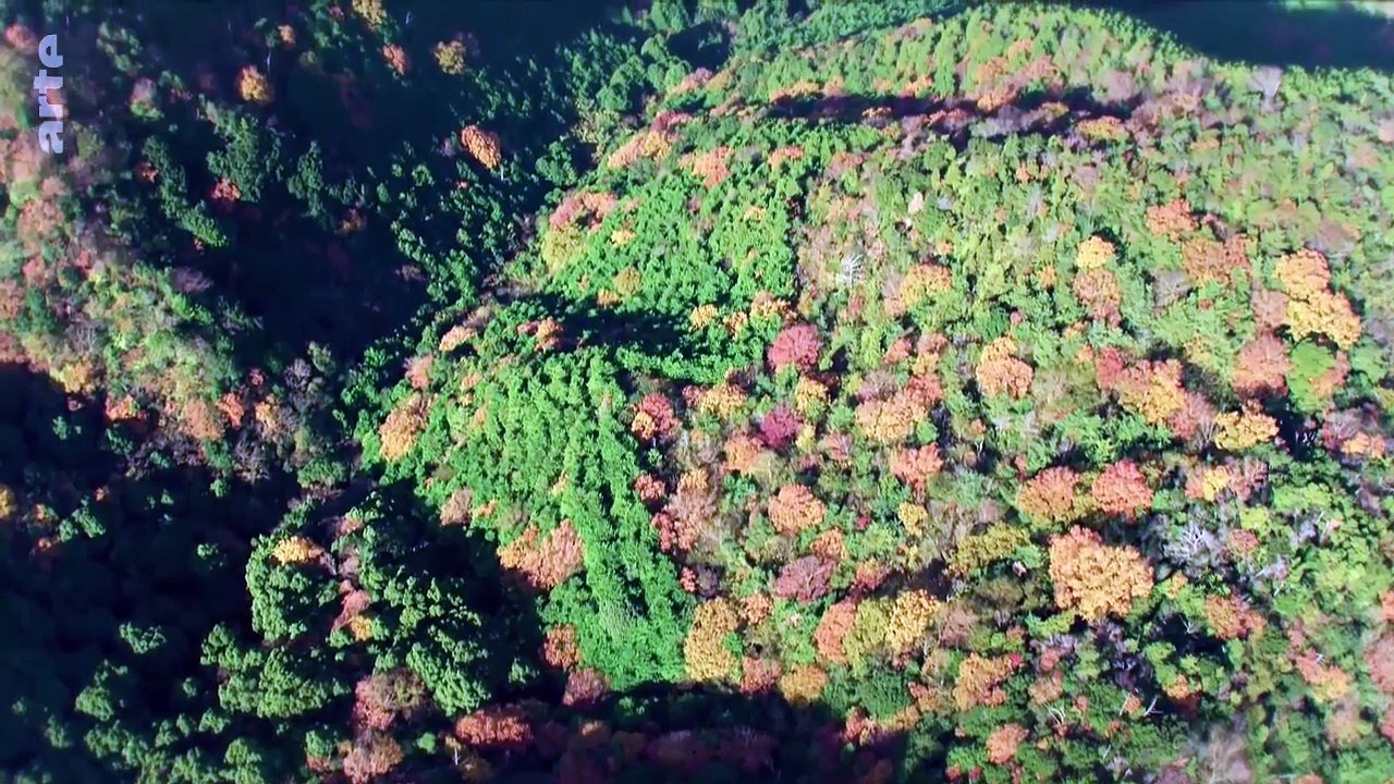 Le Japon vu du ciel - La terre des dieux