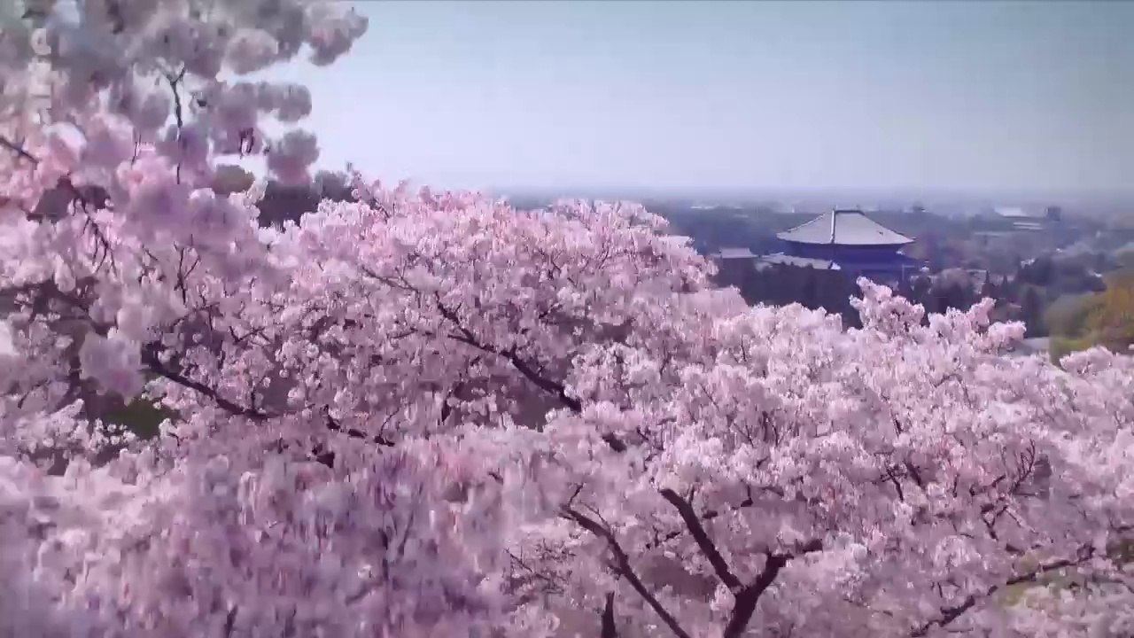 Le Japon vu du ciel - Le berceau des traditions