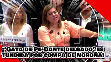 ¡VE! ¡’gata de pedante delgado’ es humillada por compañera de Noroña por atacar la Guardia Nacional!