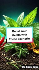 Boost Your Health with These Six Herbs