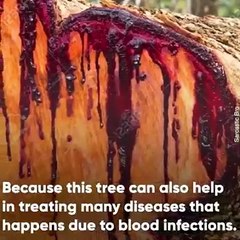 10 Mysterious Place in World #shorts #shortvideo #video #virals #videoviral #innovationhub