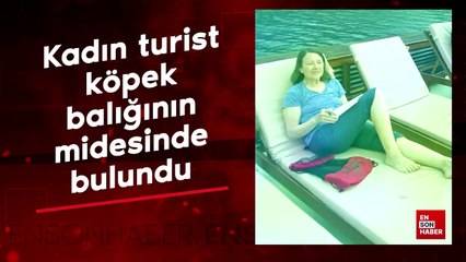 Kadın turist Endonezya'da köpek balığının midesinde bulundu